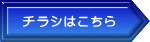 `V͂ 